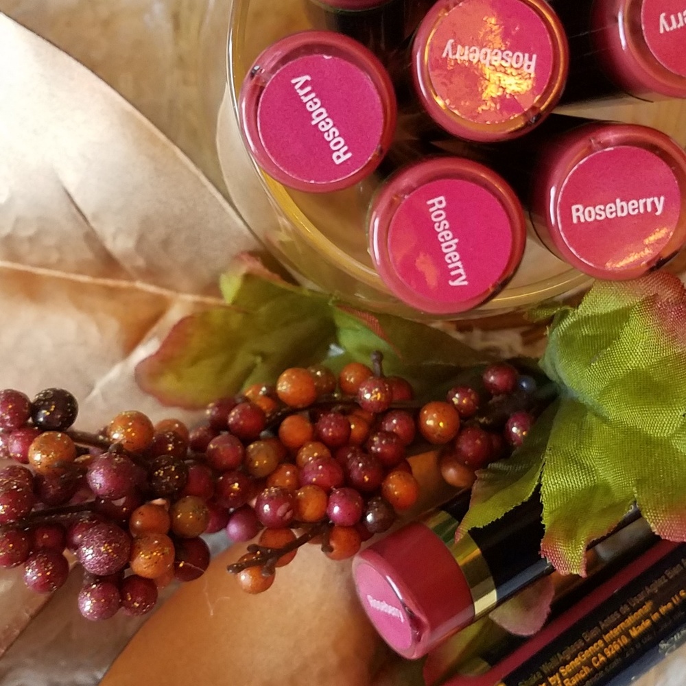 SEALED cool matte rosey pink Roseberry LipSense